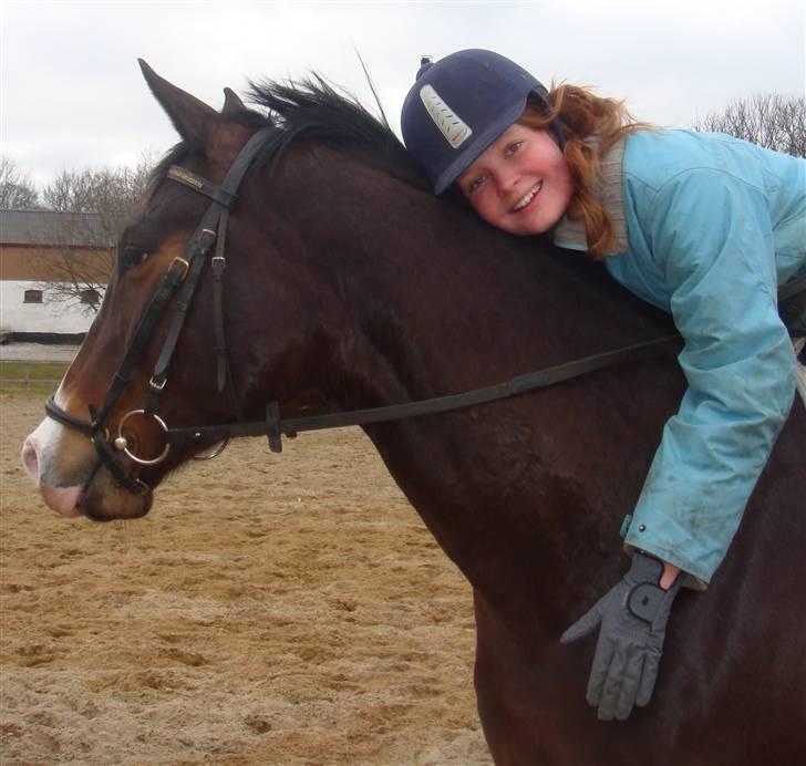 Trakehner Trapattoni  - Fordi vi er ens <3  Fotograf: Kathrine billede 4