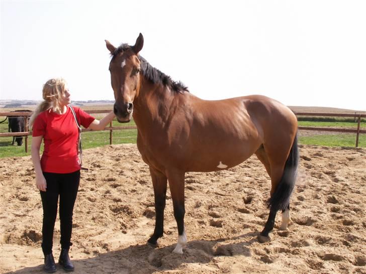 Polsk Varmblod Parta - Lidt hyggenusseri :D billede 10