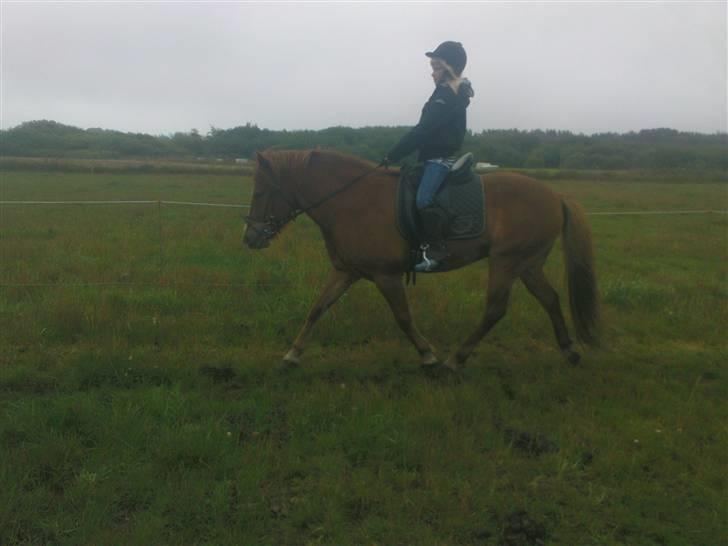 Islænder Iði  x-part billede 16