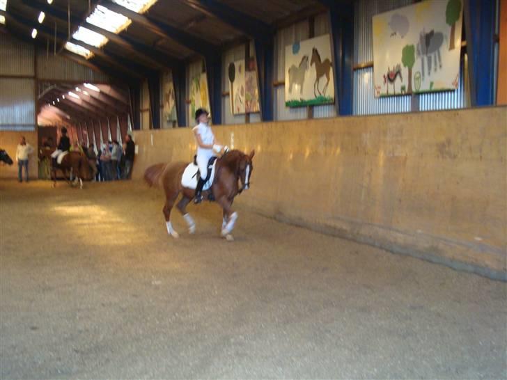 Anden særlig race Mon cherie R.I.P! billede 2