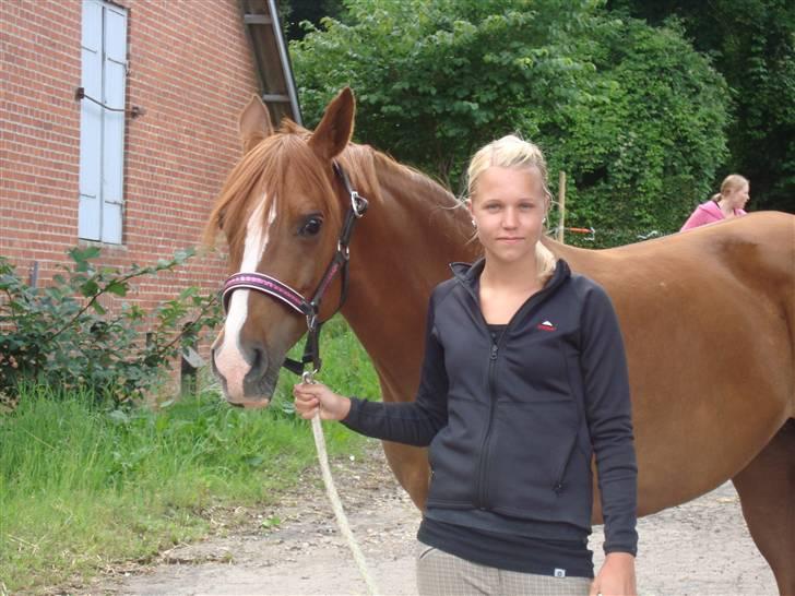 Anden særlig race Mon cherie R.I.P! - hyggedag 09 billede 5