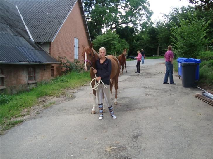 Anden særlig race Mon cherie R.I.P! - hyggedag 09 billede 10