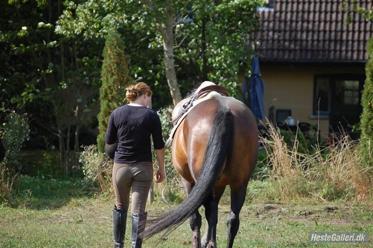 Anden særlig race Amazing Star - min livsblomst <3´ (LL)´ :-* billede 17