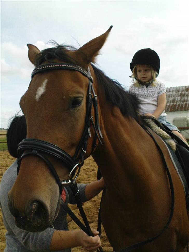Polsk Varmblod Parta - Min modige lille datter og min elskede hest :) billede 16