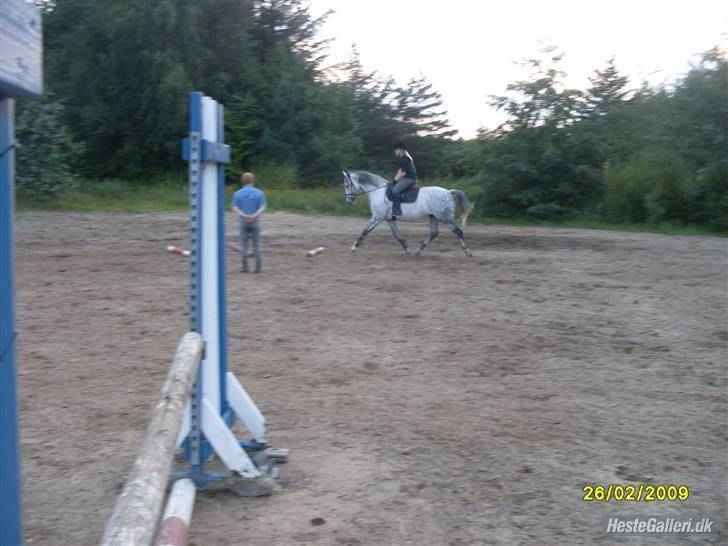 Anden særlig race Sandro.<3 - springtræning.<3 foto: nicholine.<3 billede 8