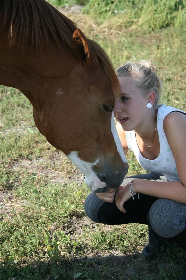Tysk Sportspony Norano - At elske dig er som at trække vejret... Hvordan kan jeg stoppe?
 billede 15