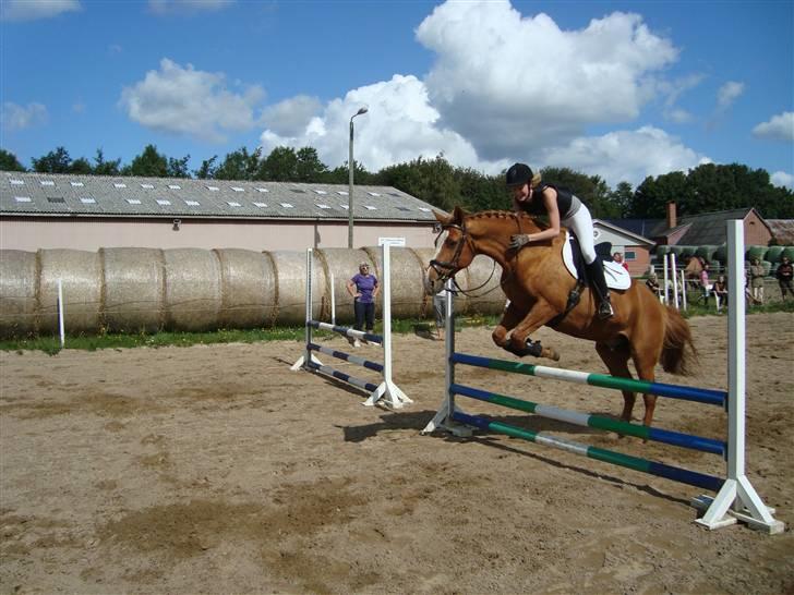 Anden særlig race Comet - († 27.1.11) - Så dygtig - til Sponsorspring på RIBS 22.8.09 billede 13