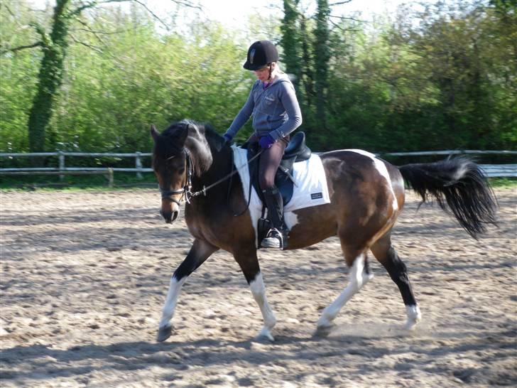 Anden særlig race Zahro -min gamle helpart billede 14