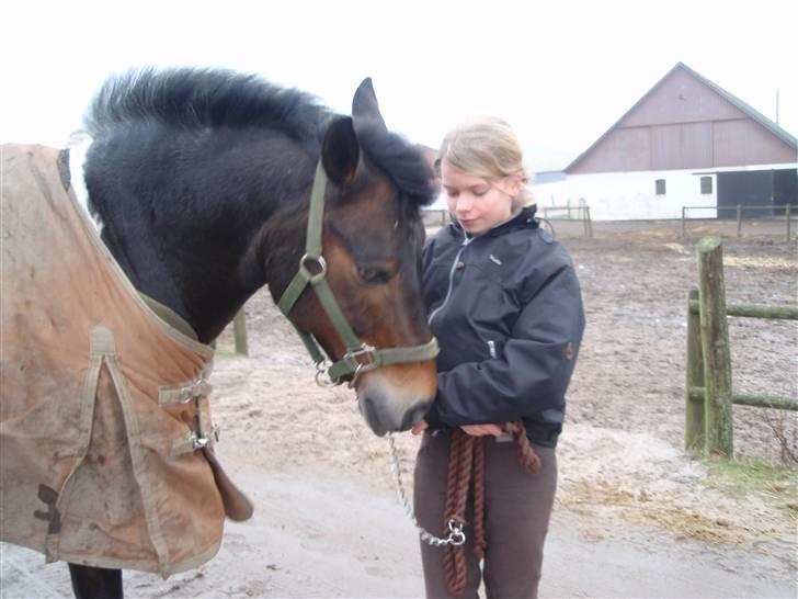 Anden særlig race Zahro -min gamle helpart billede 16