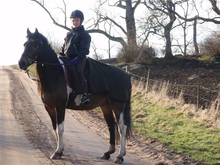 Anden særlig race Zahro -min gamle helpart - Ude og ride tur :) billede 17