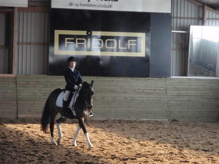 Anden særlig race Zahro -min gamle helpart - Billedtekst: Zahro og mig til Nexø stævne 09 billede 18