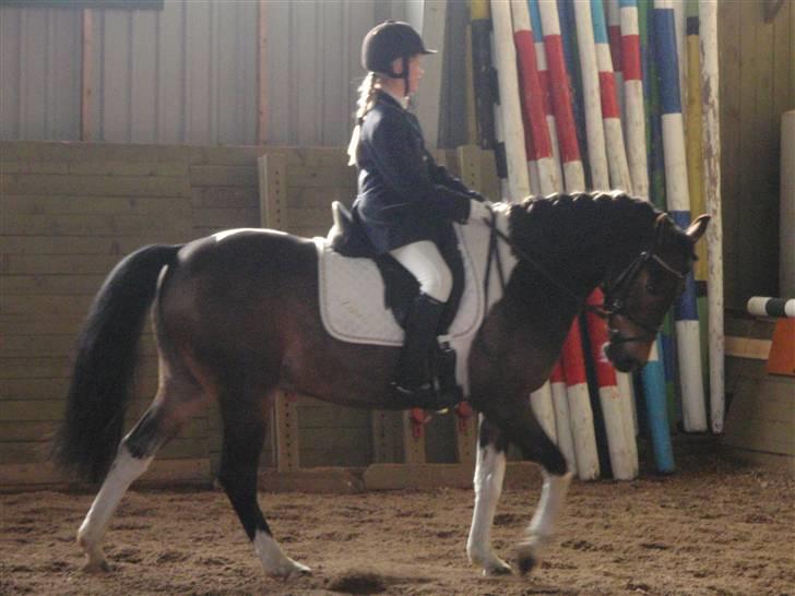 Anden særlig race Zahro -min gamle helpart - Zahro og mig til Nexø stævne 09 billede 19