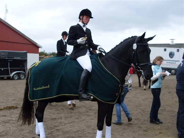 Dansk Varmblod Højbo' Mandalay BRDH - En velfortjent kage nydes, mens vi venter på præmieoverrækkelsen. Mandalay blev nr. 9 ud af 47, og bestod derfor egenheds testen med bravour ;)  billede 16