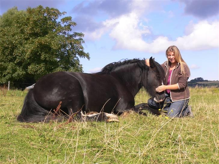 Tinker Zarmora R.i.P - Zarmora der ligger ned, mens jeg sidder ved hende. billede 6