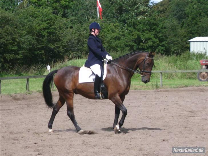 Anden særlig race Easy Go (Sofus) billede 7