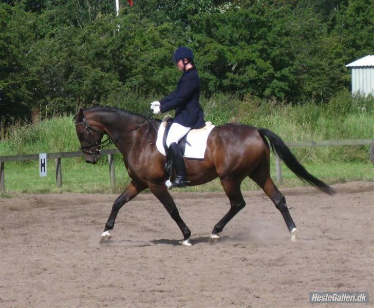 Anden særlig race Easy Go (Sofus) billede 8