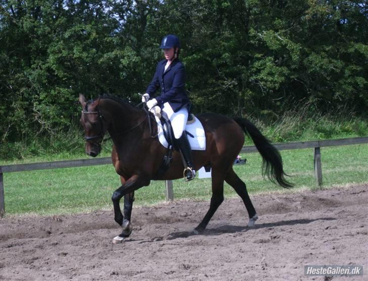 Anden særlig race Easy Go (Sofus) billede 9