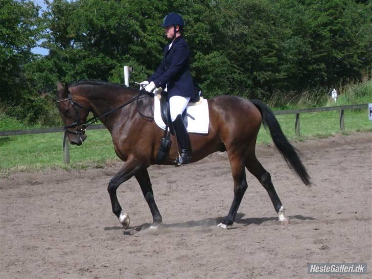 Anden særlig race Easy Go (Sofus) billede 10