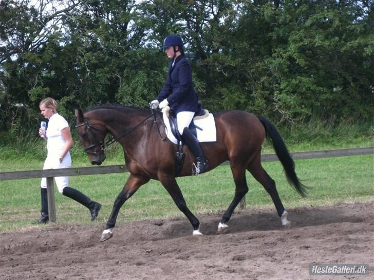 Anden særlig race Easy Go (Sofus) billede 11