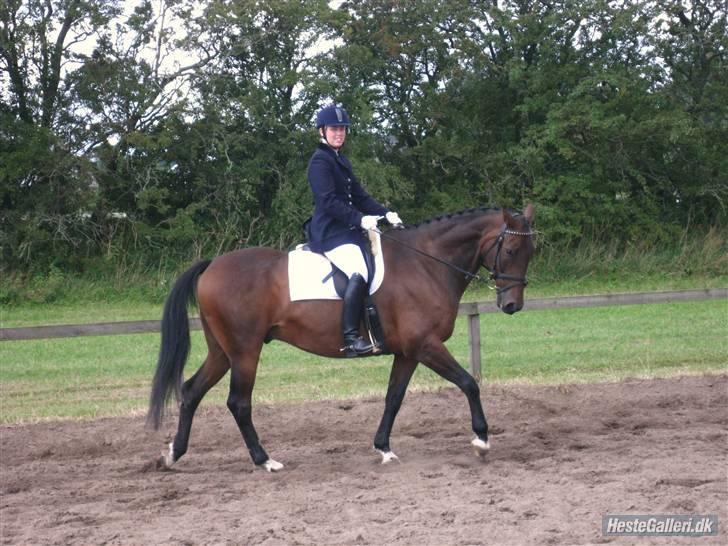 Anden særlig race Easy Go (Sofus) billede 12