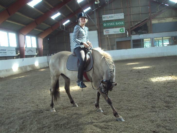 Anden særlig race Hannibal ( tidl. part) - Det hovde´tøj klør :S billede 5