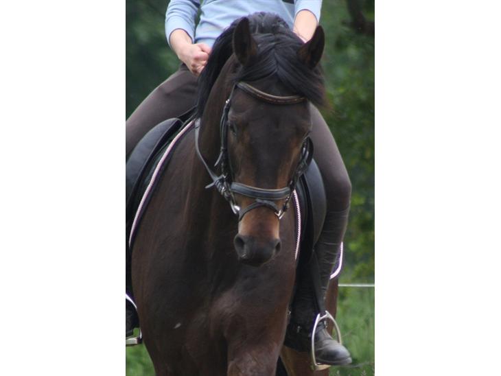 {{currentPhoto.altText}} billede {{currentPhoto.number}}