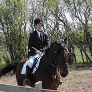 Anden særlig race Romeo  DØD