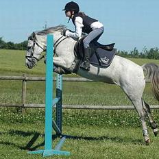 DSP Stidsbjergs Tabitta