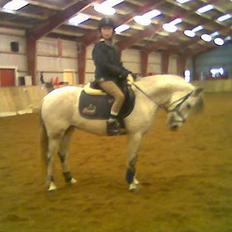 DSP Stidsbjergs Tabitta