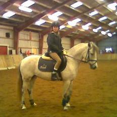 DSP Stidsbjergs Tabitta