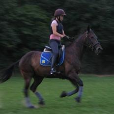 Traver Elliot Swing (Fjot) Død)