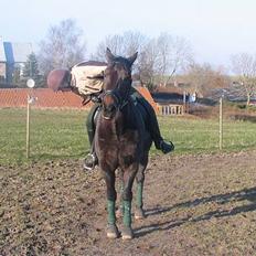 Traver Elliot Swing (Fjot) Død)