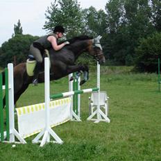 Fuldblod (XX) Mr. Fleming