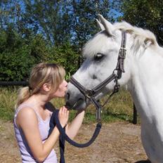 Anden særlig race Flik Flak <3 *SOLGT* :'(