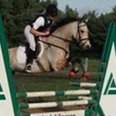 Anden særlig race Nova stauslykke Solgt