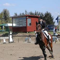Anden særlig race Romeo  DØD