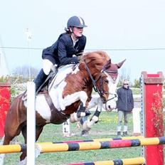 Pinto Winnitou solgt 