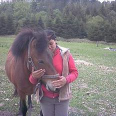 Islænder Silkesif<3