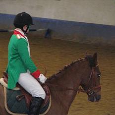 Tysk Sportspony Lex 35 