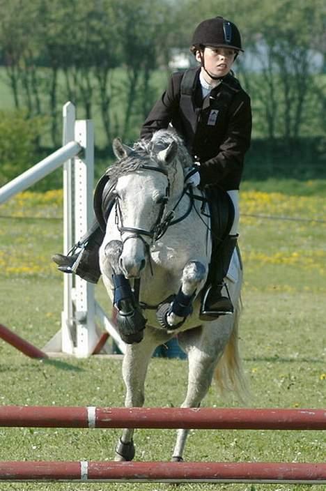 DSP Stidsbjergs Tabitta - Miig og Tab Tab til Stæævne, Wee :D 3 Plads, Ranum <3 billede 4