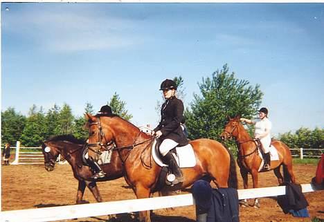 Dansk Varmblod gry  - gry og mig, flere billeder kommer i løbet af i morgen ;) billede 1