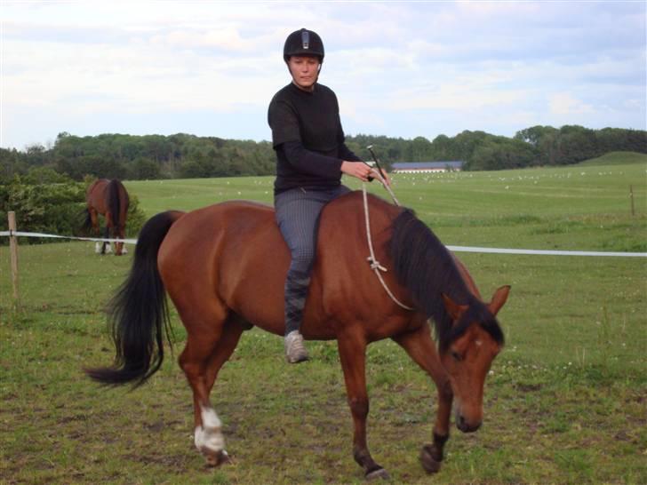 Sportsaraber (A) Paw - Tungen lige i munden stine... hmm... billede 7