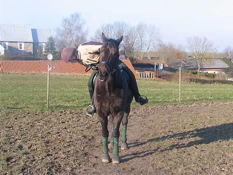 Traver Elliot Swing (Fjot) Død) - Flot parade. 24 marts 2007 Foto Trine billede 3