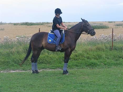 Traver Elliot Swing (Fjot) Død) - Fjot og Trine i en smuk parade 9-8-2006 billede 6