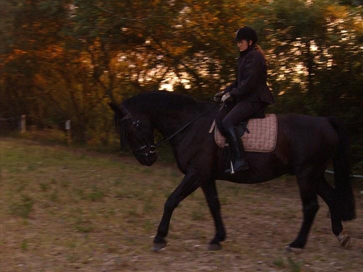 Oldenborg Zodiac [Bassemand] billede 9