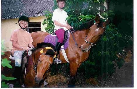 Dansk Varmblod Mon Ami DØD - Her er mig og min kære gamle storm der desværre er død=( billede 5