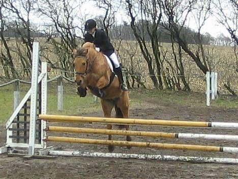 Anden særlig race Bella<,3 - Hun hopper da slet ikk højt (: .. Højden er LC men ponyen springer MB :s .. I Nibe .. billede 20