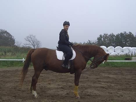 Dansk Varmblod †Moonraker"Svuppe"Moonie† - september 2006 billede 12