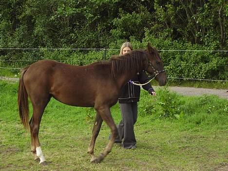 Pinto Gantrup Lisa  - 7 dage efter hjemkomst billede 10
