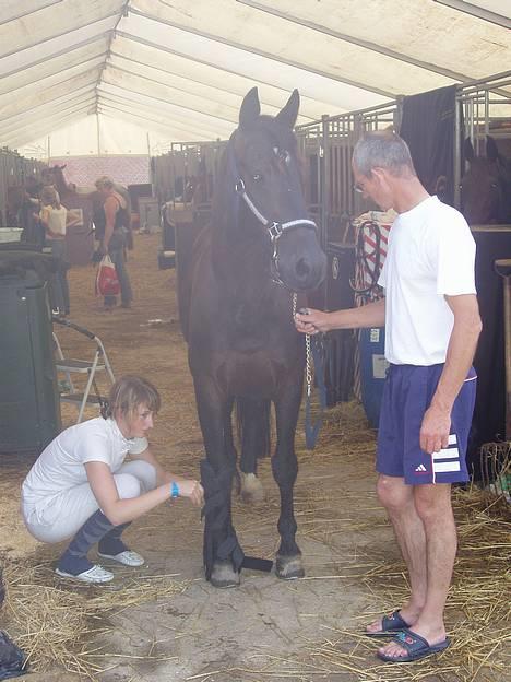 Anden særlig race Dark Shadow - I hammerum billede 18